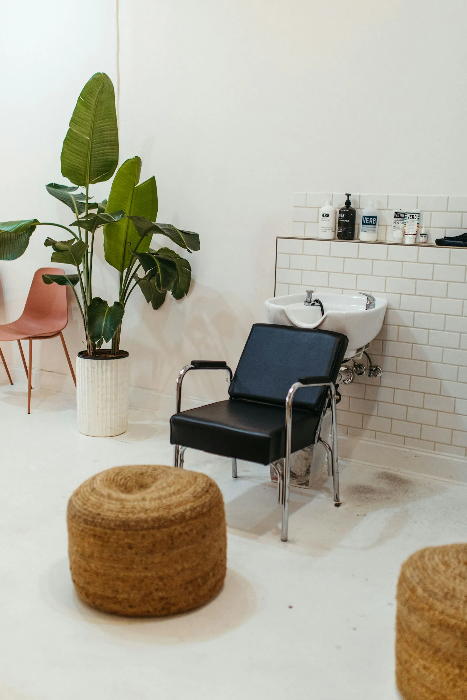 The basin chair beside a tall plant